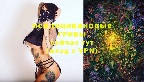 кокаин перу Богданович