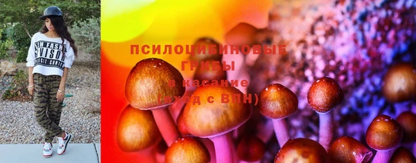 кокаин перу Богданович