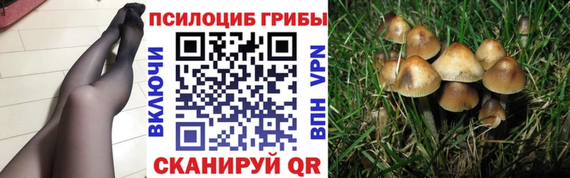 Галлюциногенные грибы прущие грибы Надым